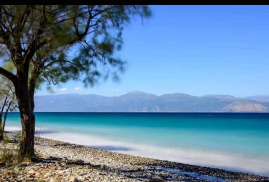 F.K Room 2 Αίγιο Εξωτερικό φωτογραφία